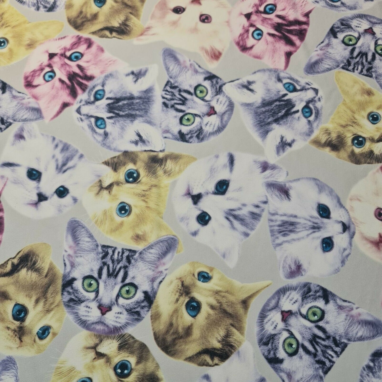 Cats & Kitten Print Ity Fabric Dress Crafts Drape 58" Stretch Material 58"