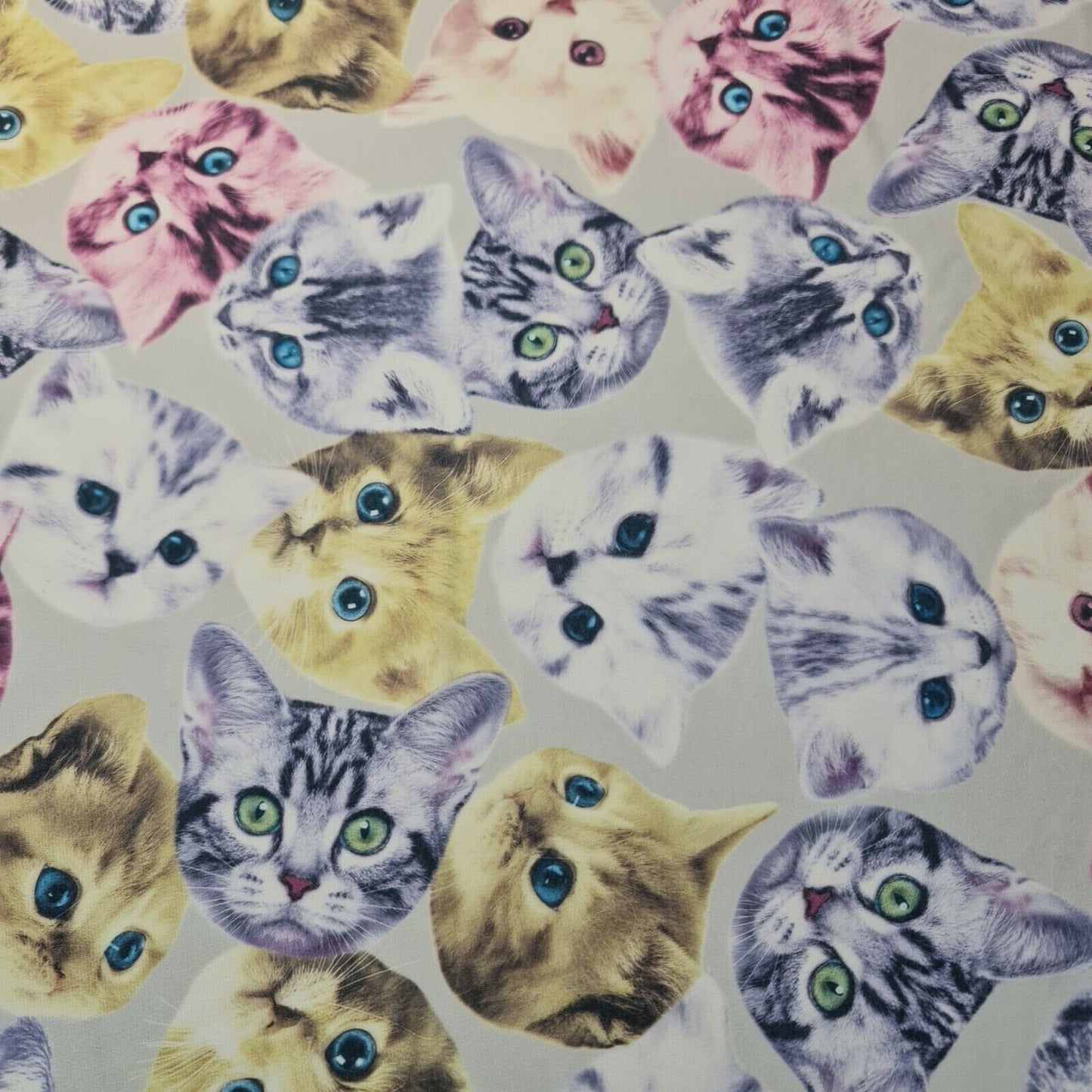 Cats & Kitten Print ITY Fabric Dress Crafts Drape 58" Stretch Material 58"