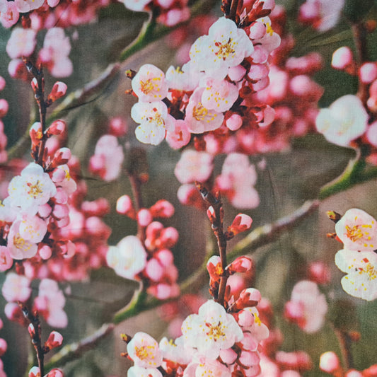 Weicher Musselin-Polyesterstoff mit digitalem Blumendruck, für Kleider, Drapierungen und Bastelarbeiten, 111,8 cm, Meterware (Design 8)