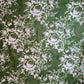 Olive Roses 100% Cotton Lawn Fabric Craft Quilting Patchwork Material By Meter 44"