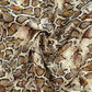 Digital Printed 100% Cotton Fabric | 150gsm 55" (140cm) Wide OEKO-TEX® Standard 100 Certified – Sold by the Meter