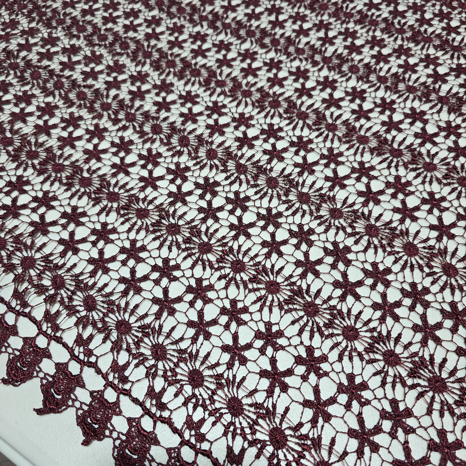 Burgundy mesh lace fabric with scalloped border