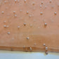 Tulle Beaded Pearl Lace Net Fabric Bridal Veil Wedding Backdrop Décor 58" (Peach)