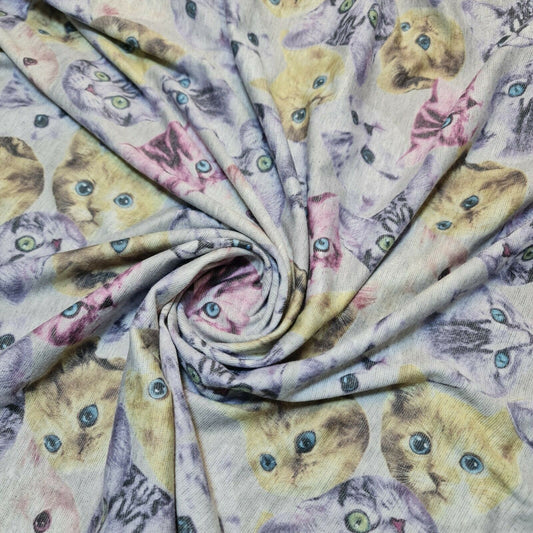 Cats Kitten print Fabric 100% Cotton Fabric kids print clothing crafts 58" Metre