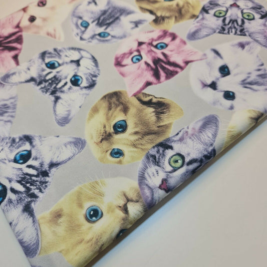 Cats & Kitten Print Ity Fabric Dress Crafts Drape 58" Stretch Material 58"