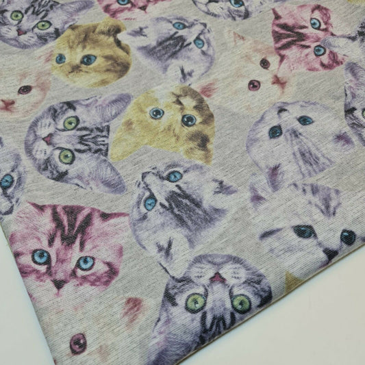 Cats Kitten print Fabric 100% Cotton Fabric kids print clothing crafts 58" Metre