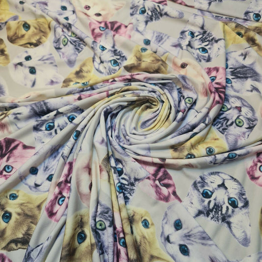 Cats & Kitten Print ITY Fabric Dress Crafts Drape 58" Stretch Material 58"